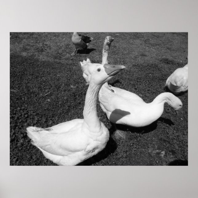 März 22 (15) Poster (Vorne)