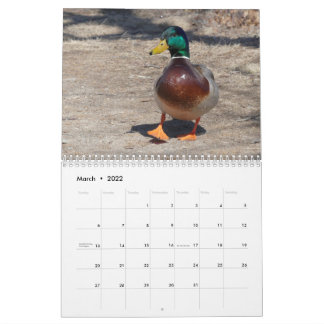 März 22 bis 23.02. Momente im Naturkalender Kalender