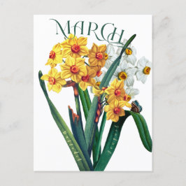 März Blume Jonquil Daffodil Extravagant Postkarte