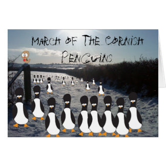 März der Cornisch-Pinguine