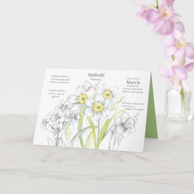 März Geburtstag Daffodil Geburtsmonat Blume Karte (Orchidee)