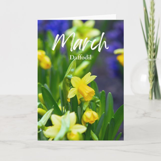 März Gelbe affodische Geburtsmonat Blume Geburtsta Karte (Vorderseite)