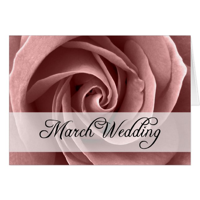 März Hochzeit : Rose der Saison: (Vorderseite (Horizontal))