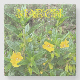 März Monkeyblumen Steinuntersetzer