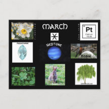 März Pisces Birthday Postcard