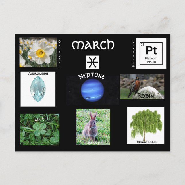 März Pisces Birthday Postcard Feiertagspostkarte (Vorderseite)