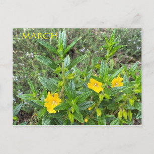 MÄRZ POSTCARD POSTKARTE