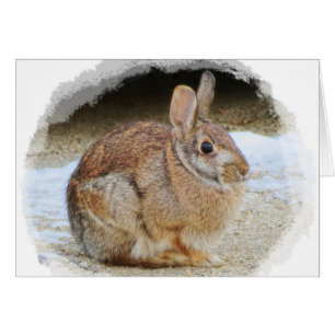 März Rabbit mit Vignette