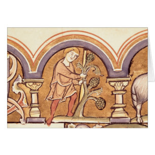 März: Verpflanzung der Bäume