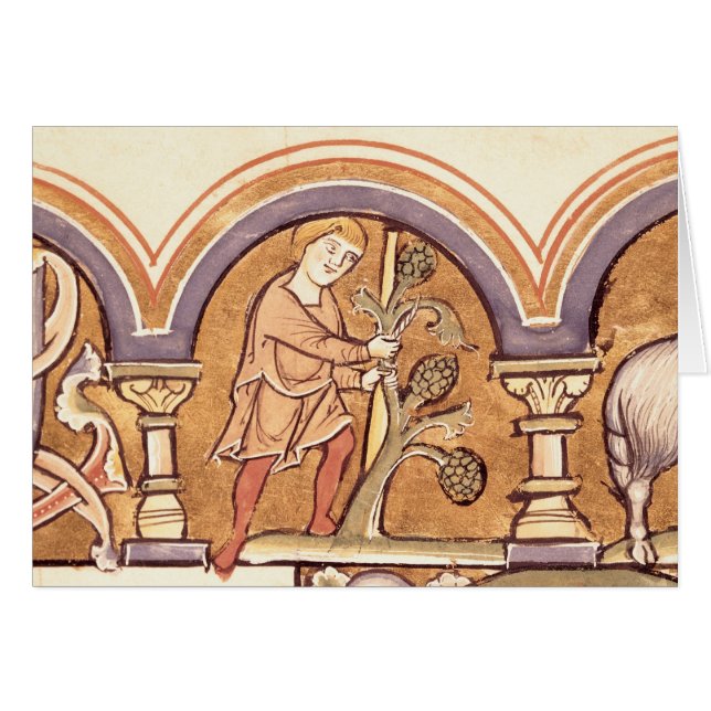 März: Verpflanzung der Bäume (Vorderseite (Horizontal))