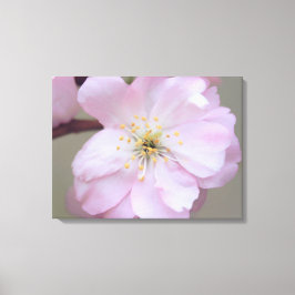 März Yoshino Wrapped Canvas Leinwanddruck
