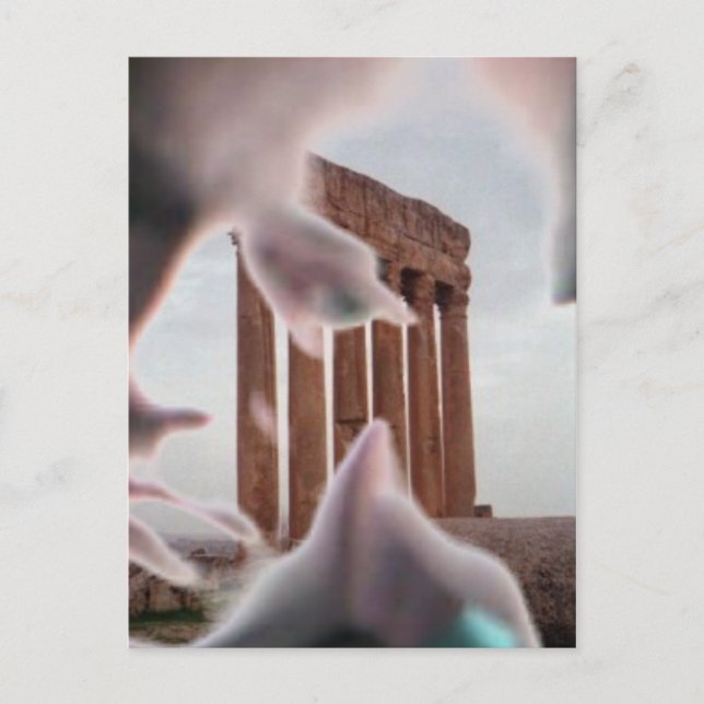 mas fotografias 2 postkarte (Vorderseite)