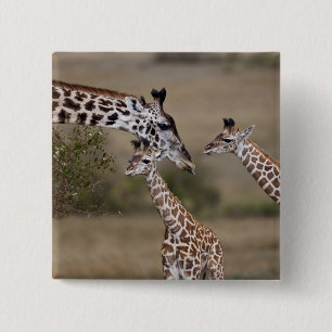 Masai-Giraffe (Giraffe Tippelskirchi) Button