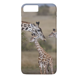 Masai-Giraffe (Giraffe Tippelskirchi) title_seo2
