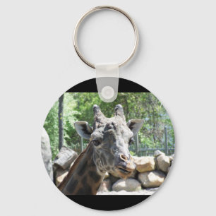 Masai-Giraffe nahes hohes Portait Schlüsselanhänger