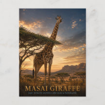 Masai-Giraffe-Savanne TIEREN