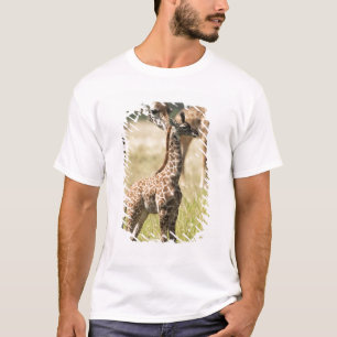 Masai-Giraffen, Giraffa camelopardalis 2 T-Shirt