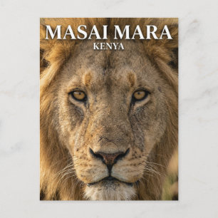 Masai Mara Nationalreservat Kenia Postkarte