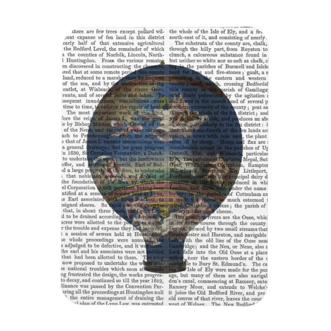 Maschine Aerostatique Heißluftballon Magnet (Vertikal)
