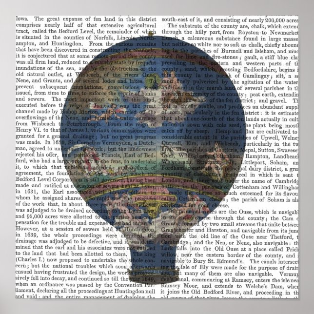Maschine Aerostatique Heißluftballon Poster (Vorne)