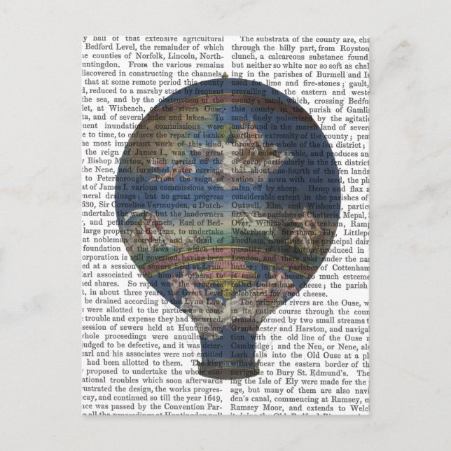 Maschine Aerostatique Heißluftballon Postkarte (Vorderseite)