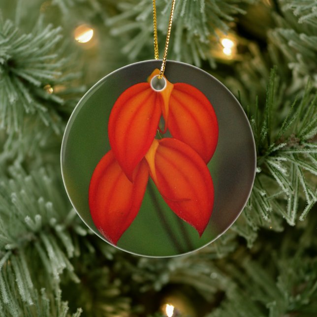 Masdevallia ignea Orchid Keramikornament (Baum)