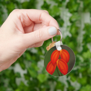 Masdevallia ignea Orchidee Schlüsselanhänger