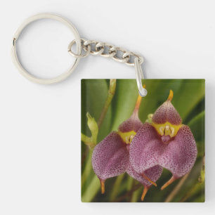 Masdevallia Schlüsselanhänger