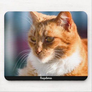 Maspalomas Cat Mousepad