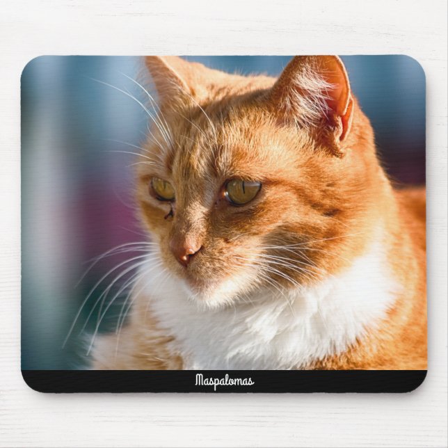 Maspalomas Cat Mousepad (Vorne)