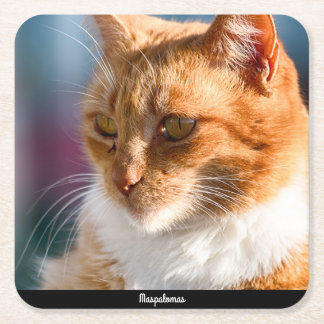 Maspalomas Cat Rechteckiger Pappuntersetzer