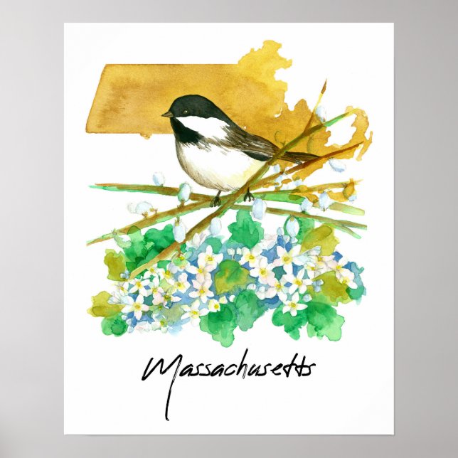 Massachusetts Bird Chickadee Willow Branches Poster (Vorne)