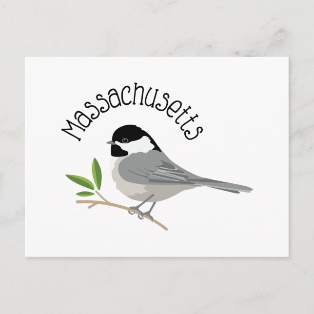 Massachusetts Chickadee Postkarte (Vorderseite)