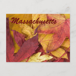 Massachusetts Feuilles Automne Carte Postale