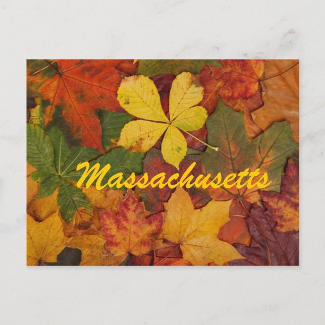 Massachusetts Feuilles Automne Carte Postale (Devant)