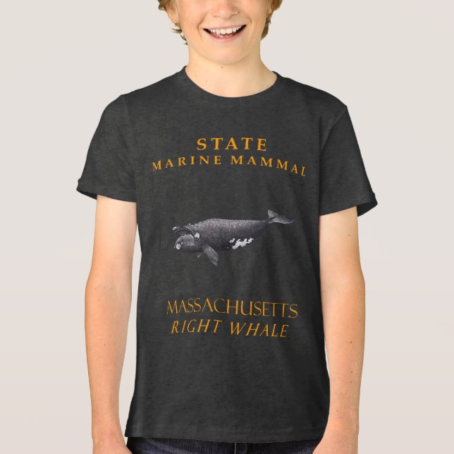 Massachusetts Marine Mammal the Right Whale Tri-Blend Shirt (Vorderseite)