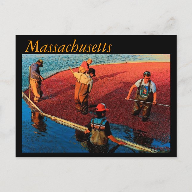 Massachusetts Postkarte (Vorderseite)