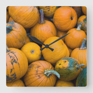 Massachusetts, Salisbury, Kürbisse, Herbst Quadratische Wanduhr