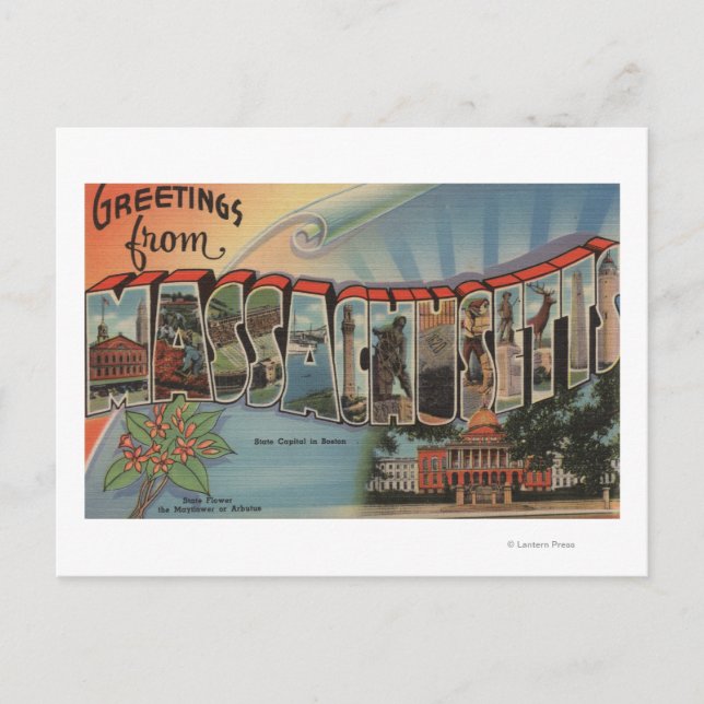 Massachusetts (Staat Hauptstadt/Blume) Postkarte (Vorderseite)