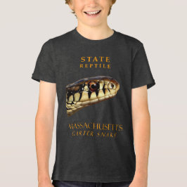 Massachusetts Territorium Reptile The Garter Schla Tri-Blend Shirt