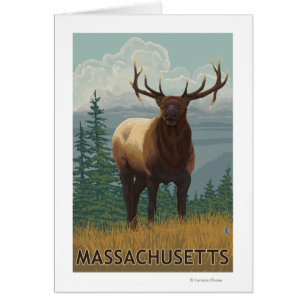 MassachusettsScène Elk