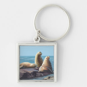 MassachusettsSea Lions Scene Schlüsselanhänger