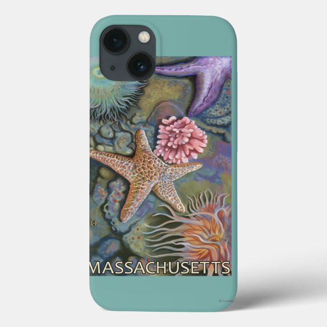 MassachusettsTidepool Scene Case-Mate iPhone Hülle (Rückseite)