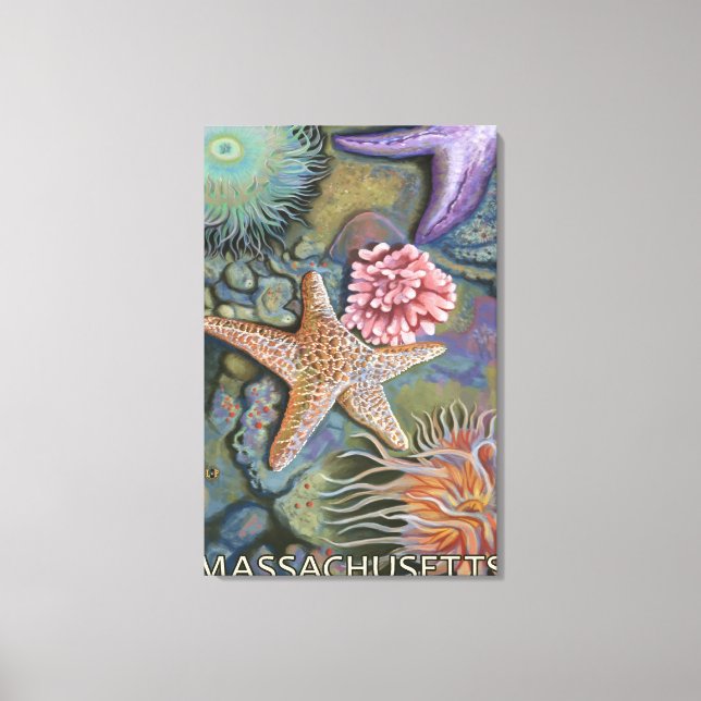 MassachusettsTidepool Scene Leinwanddruck (Vorderseite)