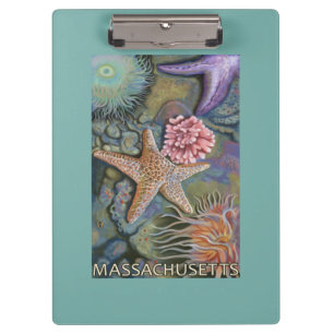 MassachusettsTidepool Szene Klemmbrett