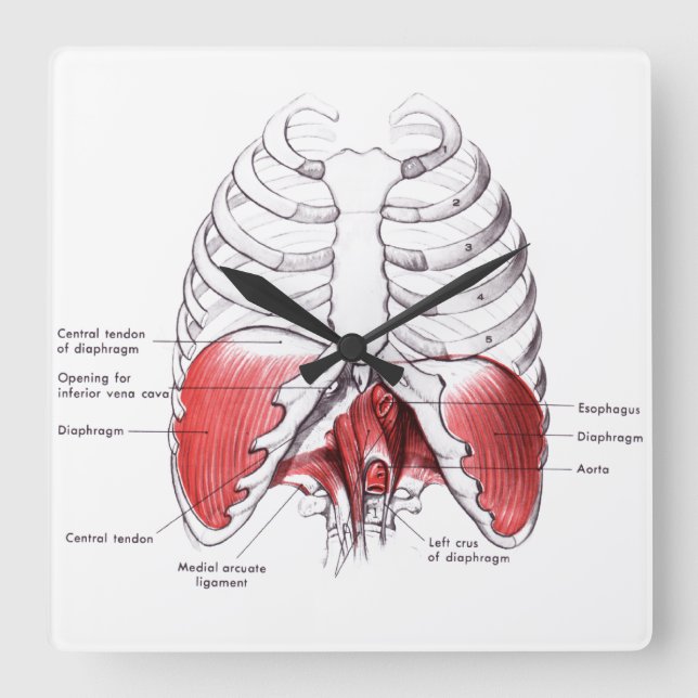 Massageräume Quadratische Wanduhr (Vorderseite)
