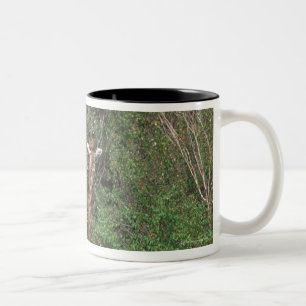 Massai Giraffe 3 Zweifarbige Tasse