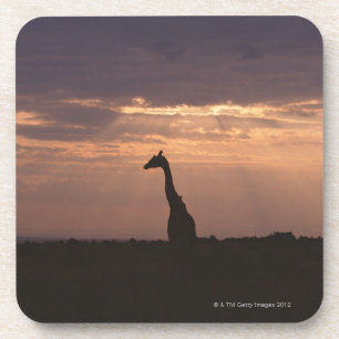 Massai Giraffe Getränkeuntersetzer