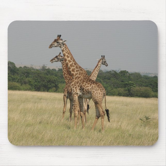 Massai Giraffen Mousepad (Vorne)