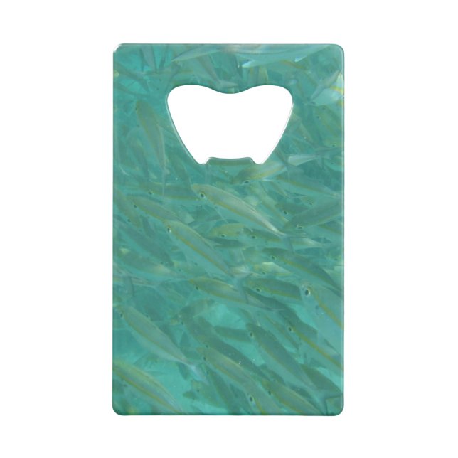 Masse der Fische Kreditkartenflaschenöffner (Rückseite)